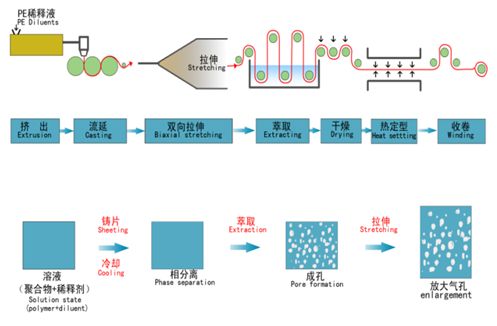 鋰電隔膜成型